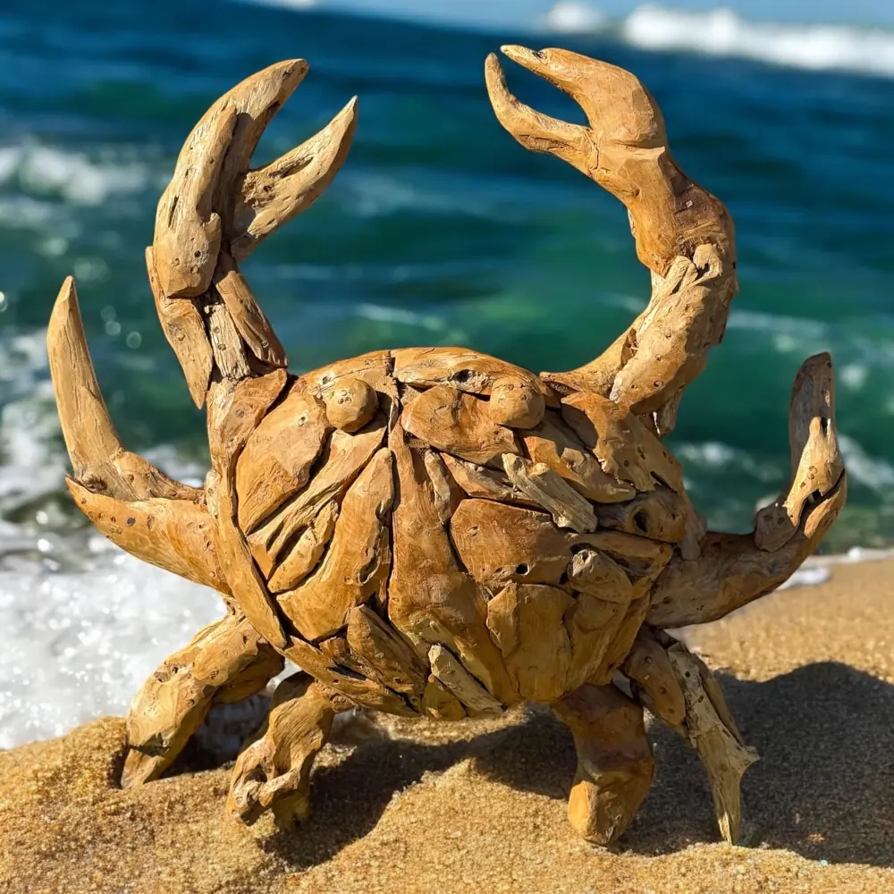 Teak crab in front of water